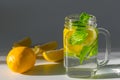 A close-up photo of a mug filled with water, sliced Ã¢â¬â¹Ã¢â¬â¹lemon and mint leaves Royalty Free Stock Photo